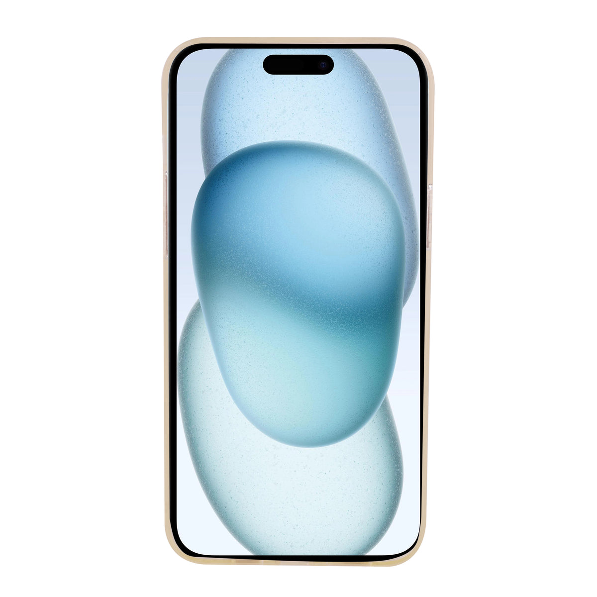 Translucent Shiny Design Cover iPhone 13 Pro Max